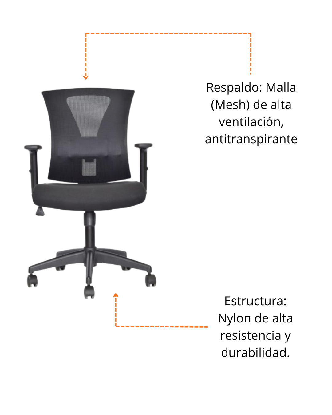 Estructura y Espaldar de Silla COR203